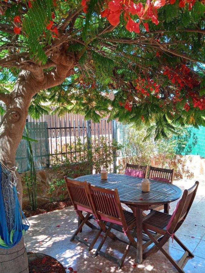 Bungalow Con Flamboyan En Maspalomas Villa Playa del Inglés Eksteriør bilde